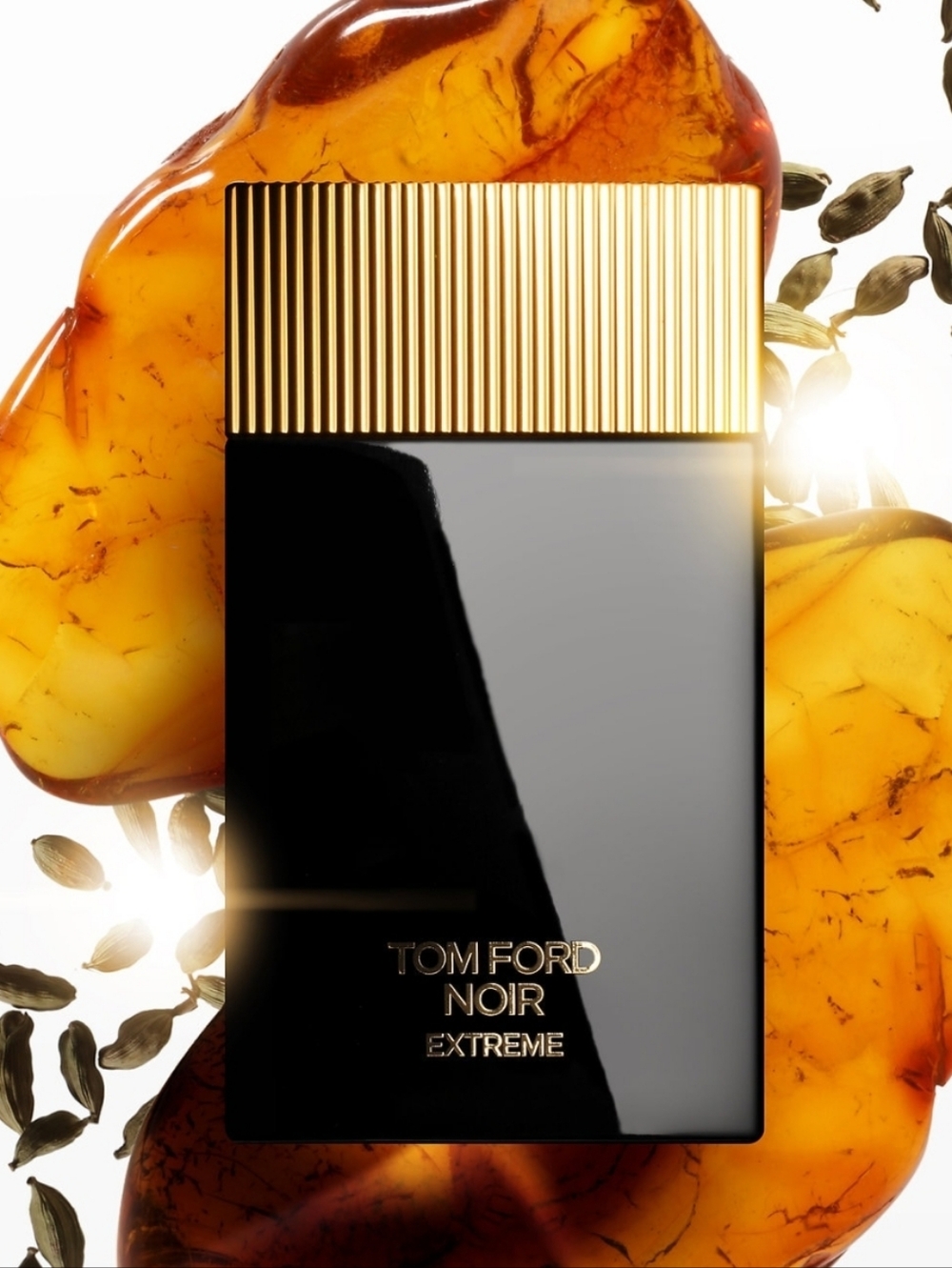 Tom Ford Noir Extreme 3.4 Fl Oz